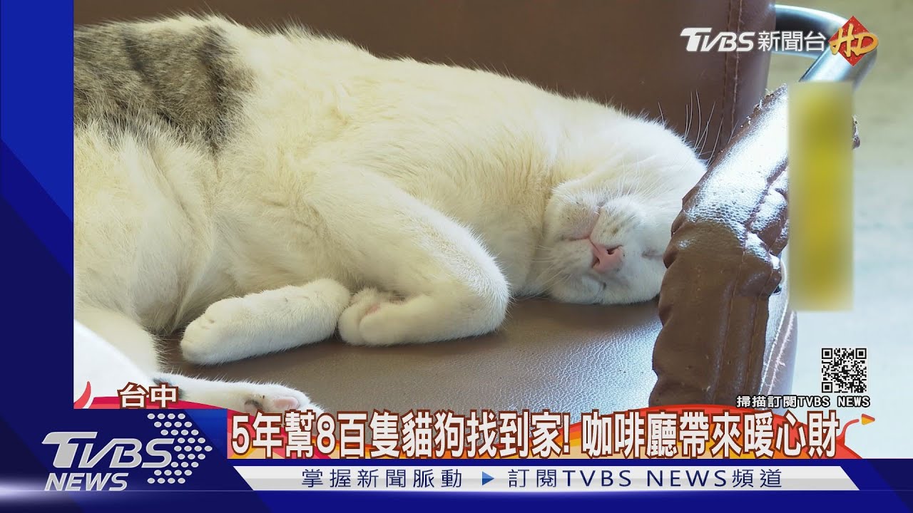 5年幫8百隻貓狗找到家! 咖啡廳帶來暖心財