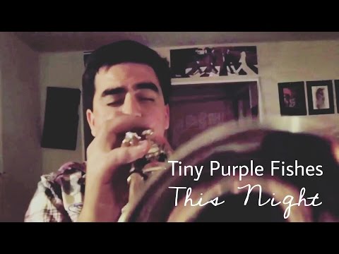 Tiny Purple Fishes - This Night (Acoustic)
