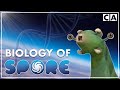 The Biology of Spore | Part I