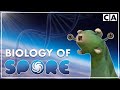 The Biology Of Spore Part I