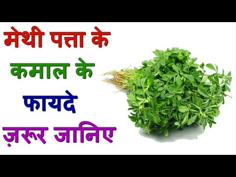 download lagu mp3 mp4 What Is Fenugreek Leaves In Hindi, download lagu What Is Fenugreek Leaves In Hindi gratis, unduh video klip What Is Fenugreek Leaves In Hindi