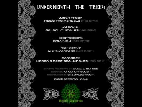 02 Meerkut - Galatic Whales