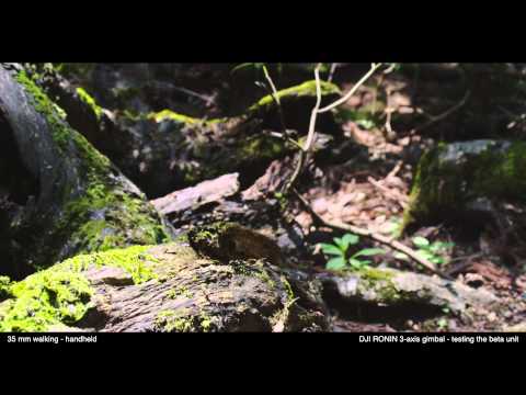 DJI RONIN - beta testing - first two days