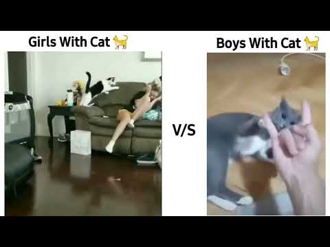 Girls VS Boys with cat 😂 # viral # shorts ❤