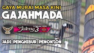 Download lagu PIALA JATENG 3 - Murai Batu GAJAH MADA - MODEL Murai Masa Kini TERBUANG DI PIALA JATENG mp3