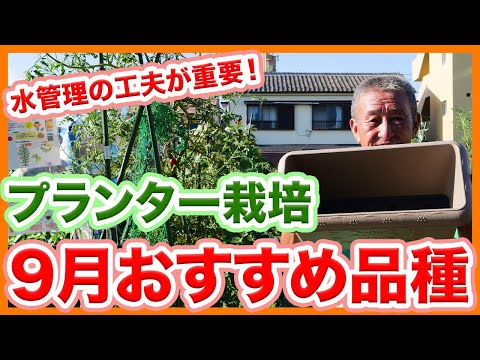  9月に菜園やバルコニーに何を植えますか？今の季節に欠かせない野菜や花々！  庭園