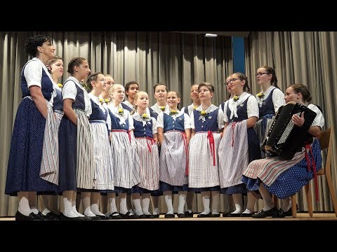 Nordostschweizerisches Jodlerfest Winterthur-Wülflingen  2019 Teil 3