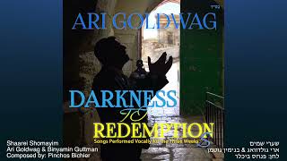Ari Goldwag | Shaarei Shomayim ft. Binyamin Guttman (A Cappella) ארי גולדוואג שערי שמים ווקאלי