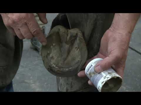 Liberty Nails with Kerckhaert Comfort