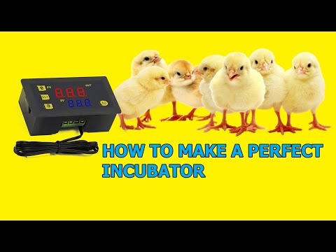 How to program W3230 temperature controller for incubator