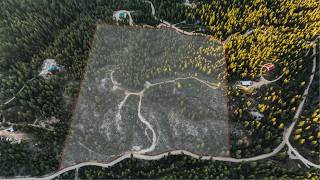 Premier Timbered Mountain Estate | A Once-in-a-Lifetime Legacy 34 Acres Above Boise
