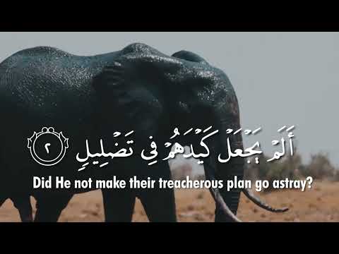 Surah Al-Fil (The Elephant) سورة الفيل