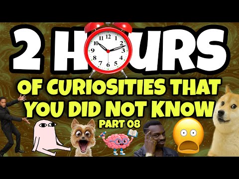2 HOURS OF CURIOSITIES AND THINGS YOU DIDN’T KNOW 🧠⏰ #08