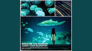 Liquor &amp; Love Lost