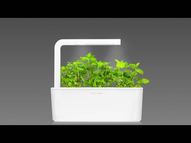 Vidéo teaser pour Peppermint time-lapse: Click & Grow Smart Herb Garden