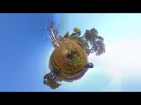 Exhibit Scotland video.