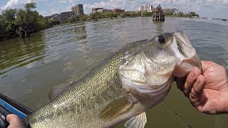 BASS/SNAKEHEAD & More!!! (Potomac River Bass Fishing ft. SmallmouthCrush)