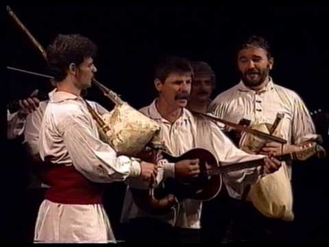 Vizin/Vujicsics zenekar