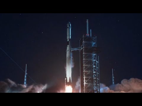 Spacex Dearmoon Mission Canceled 🌙❤️😢