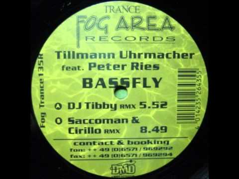 Tillmann Uhrmacher feat Peter Ries - BASSFLY (Dj Tibby remix)