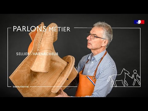 Parlons métier - Sellier harnacheur