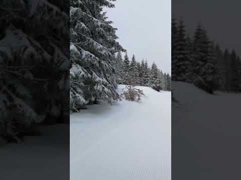 Czarna Góra godz 9-00 sztruksik