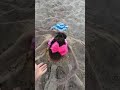 Best Time In Bulgaria
