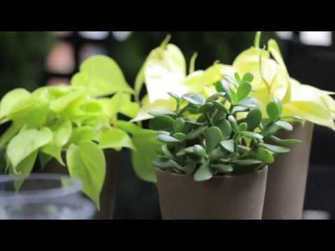 Reč struke ep. 165 27.03.2018. NAJAVA