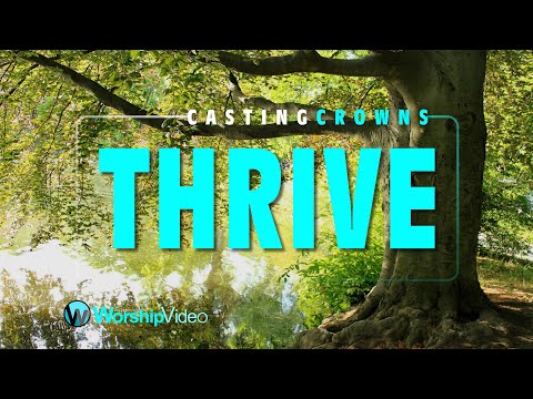 Thrive - Casting Crowns [With Lyrics]