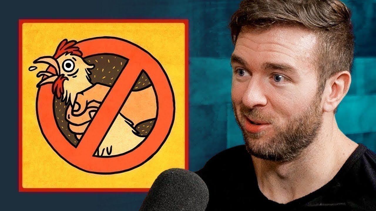 huberman on porn breaks