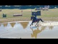 Top jument de sport 