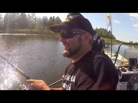 Kesällä hauki vaanii lumpeikoissa - Hauenkalastus - Heittoperho - Spintube - Pike - Fishing