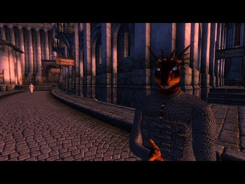 Typical Argonian conversation