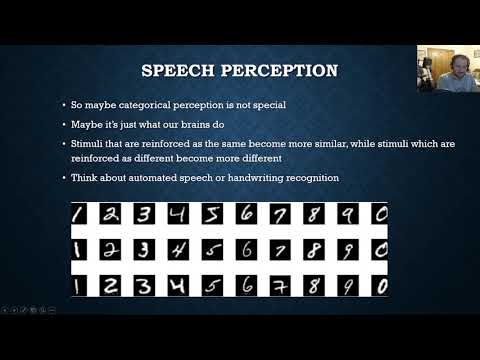 Speech Perception 2