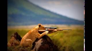 Tricky - Murder Weapon