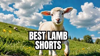 Our Favorite Lamb Shorts