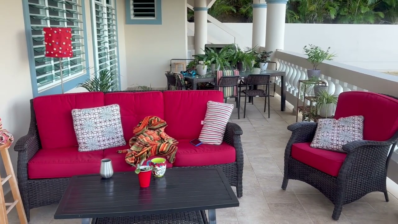 Enlarge Awesome Ambar!, a Adoptable mixed breed in Seattle, WA video 6/6