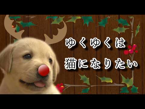 動画の【リニューアル】を承ります クリスマス等季節に合った動画【動画の作成を以前承った方限定】