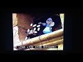 Robin Hood 1973 1994 VHS Previews Closing