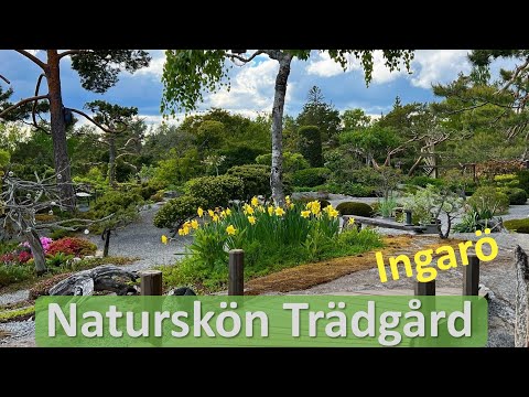 Trädgårdsinspiration från skärgården. Unik och naturskön trädgård. Trädgårdsdesign, tusen trädgårdar