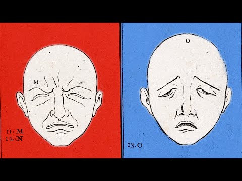 How emotions work | Neuroscientist Lisa Feldman Barrett