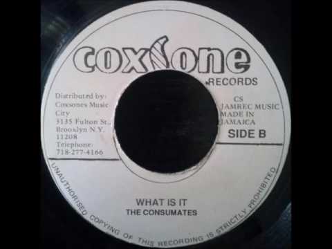 The Consumates - What Is It