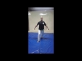 Red Brown 3rd Kyu Ren Geri