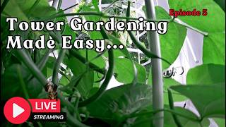 Tower Gardening Made Easy LIVE STREAM #towergarden #gardening #hydroponicgardening #farm