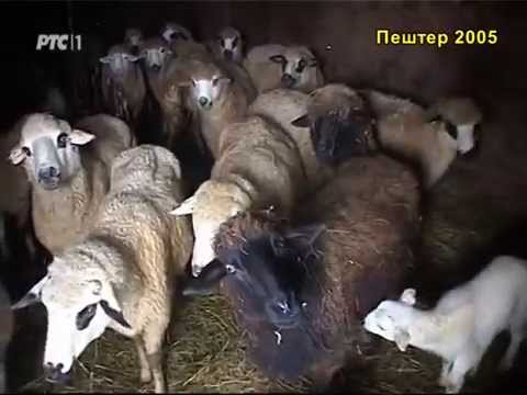 Sasvim prirodno: Pešter srpski Sibir (titl SR)