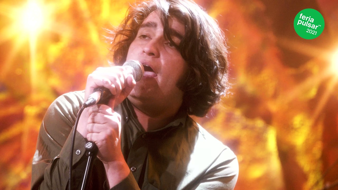 Pulsar presenta: Los Animales También Se Suicidan [Feria Pulsar 2021]