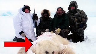 Man Spots A Strange Animal In The Polar Region,Later Discovers The Reason Behind Its Unusual Origin by Did You Know Animals?