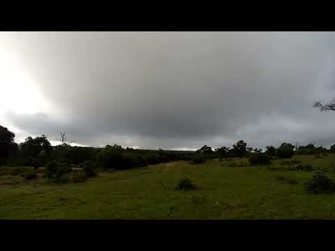 Djuma: Thick rain clouds - 06:52 - 01/16/2023