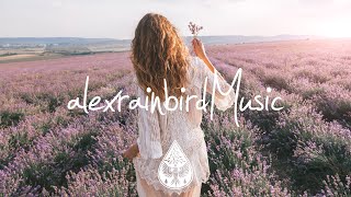 Download lagu Canyon City - Song for Spring mp3