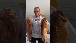 Hôtel Kasa Afrikana